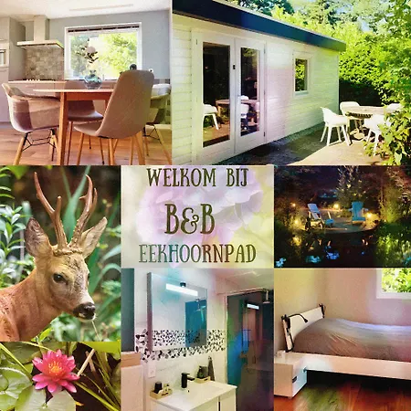 Bed & Breakfast Eekhoornpad