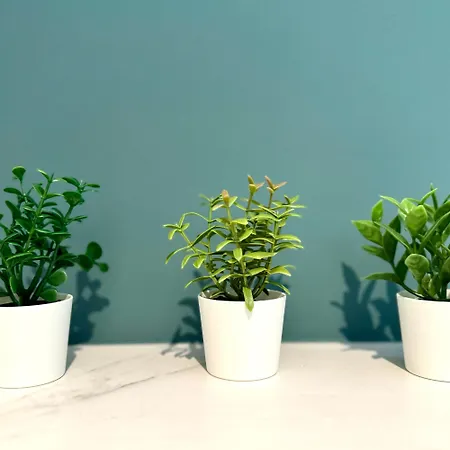 Eekhoornpad Couette-café Tilbourg