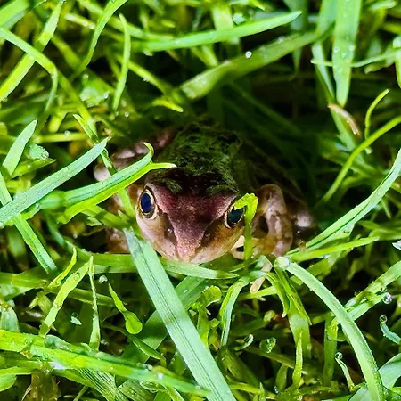 Eekhoornpad 3* Tilbourg