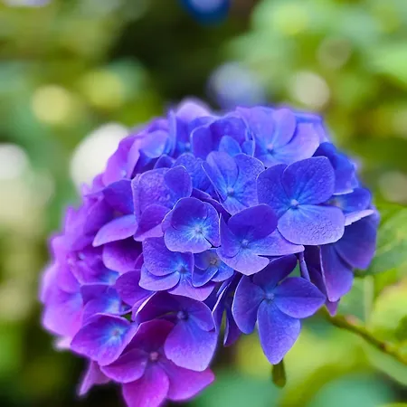 Couette-café Eekhoornpad Tilbourg