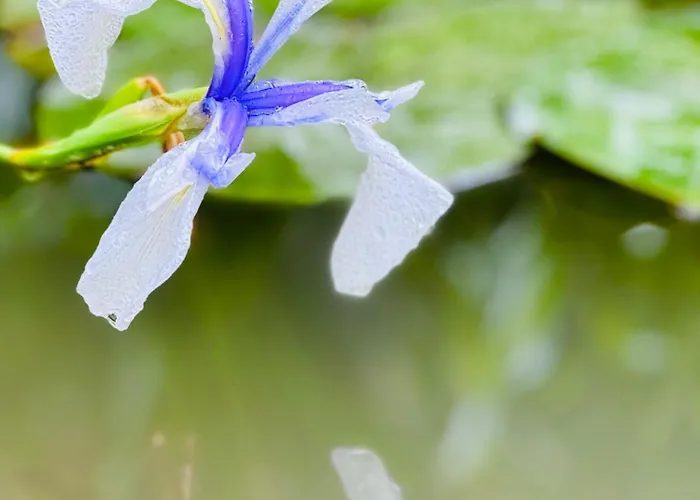 Eekhoornpad Panzió 3*