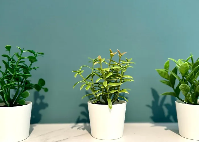 Eekhoornpad Panzió Tilburg