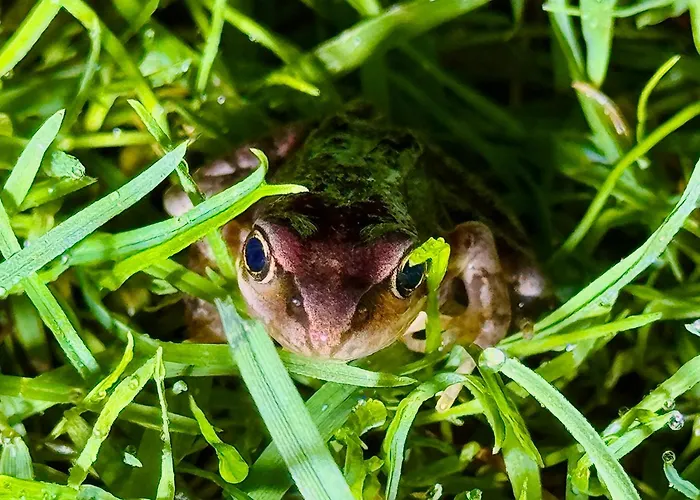 Eekhoornpad 3* Tilburg