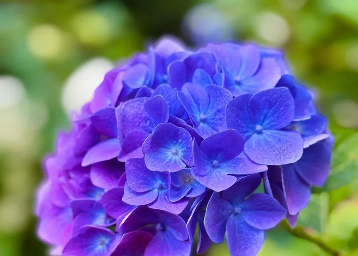 Panzió Eekhoornpad Tilburg